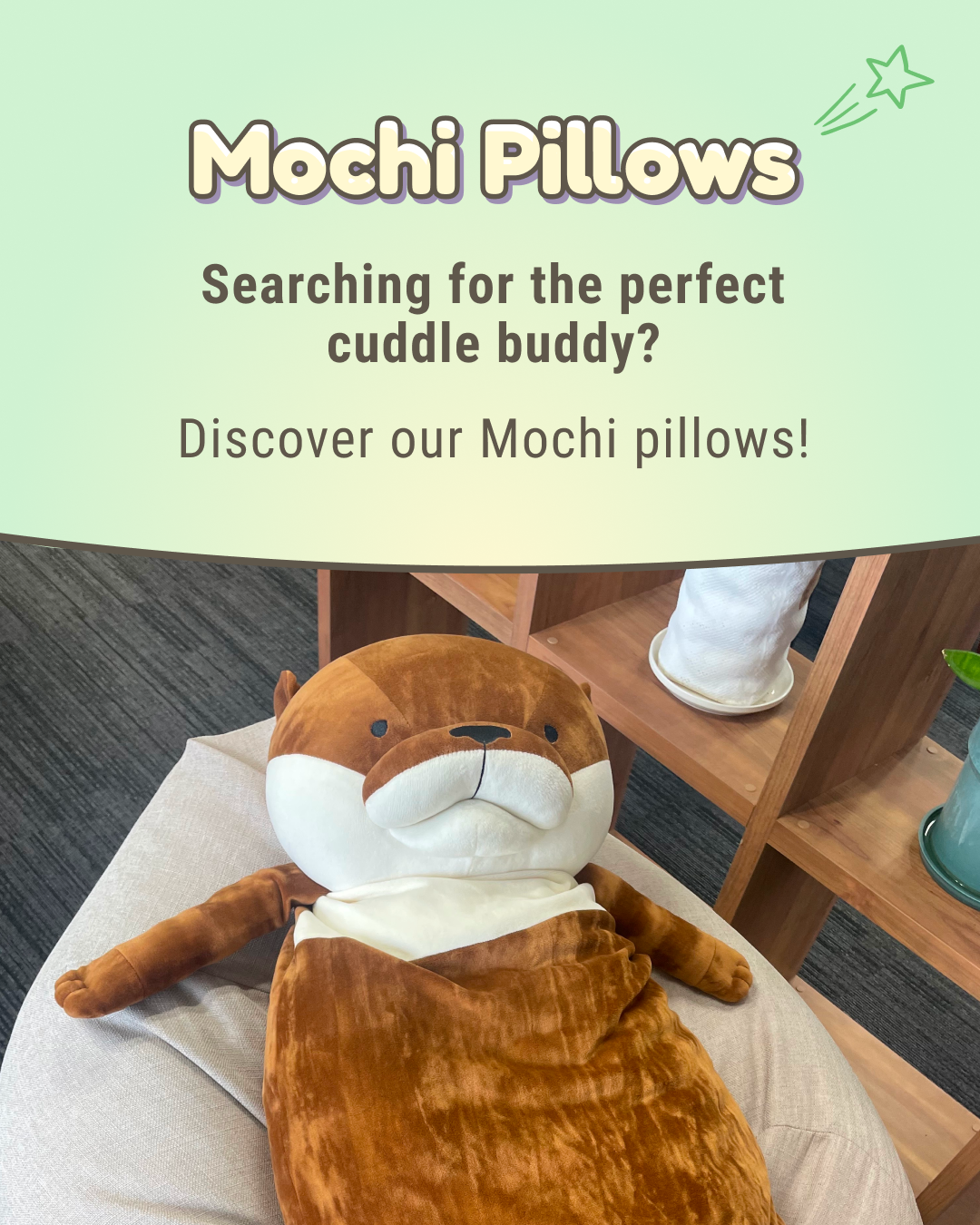 Mochi Pillows